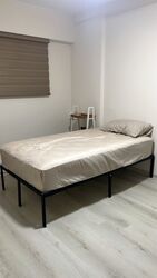 Blk 221 Tampines Street 24 (Tampines), HDB 3 Rooms #585024181